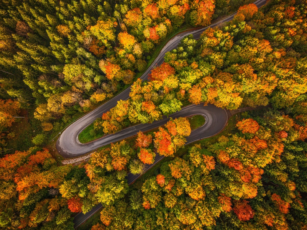 10 Best States for a Fall Road Trip