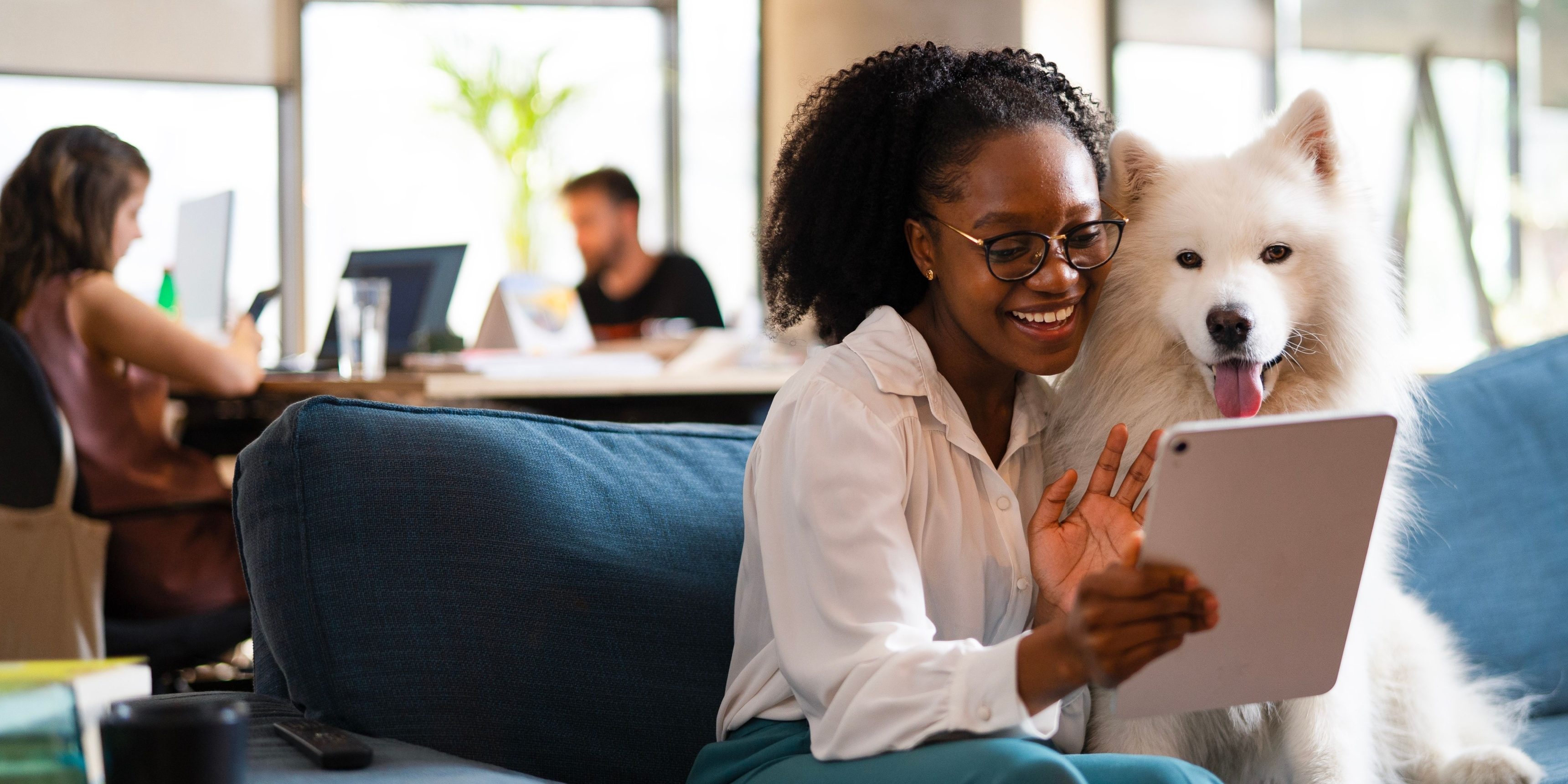 Sit, Stay, Clock In: The Best U.S. Cities for Balancing Office Work & Pet Life
