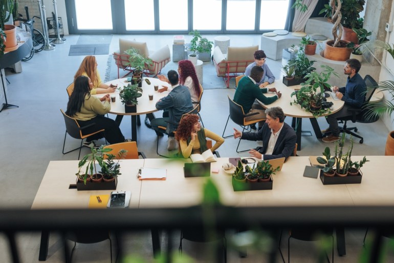 High-angle view of business professionals working and collaborating in a modern office space filled with plants, promoting a productive and eco-friendly work environment.